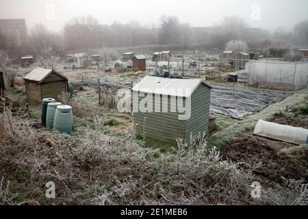 Schrebergärten an einem frostigen Wintertag, Warwick,`s Stockfoto